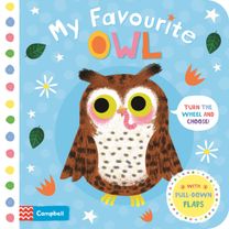 My Favourite Owl