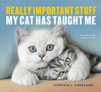Really Important Stuff My Cat has Taught Me