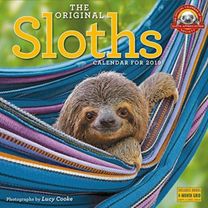 2019 Sloths Wall Calendar