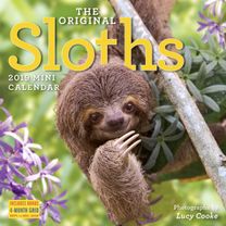 2019 Sloths Mini Wall Calendar