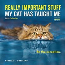 2019 Really Important Stuff My Cat has Taught Me Wall Calendar