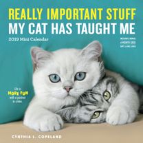 2019 Really Important Stuff My Cat has Taught Me Mini Wall Calendar