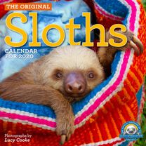 Original Sloths Wall Calendar 2020