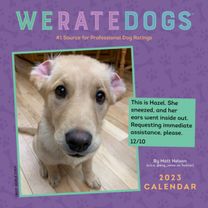 Weratedogs 2023 Mini Wall Calendar