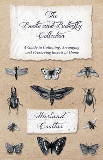Beetle and Butterfly Collection - a Guide to Collecting, Arranging and Preserving Insects at Home