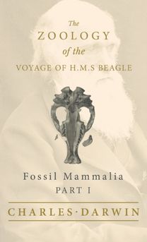 Fossil Mammalia - Part I - the Zoology of the Voyage of H.M.S Beagle