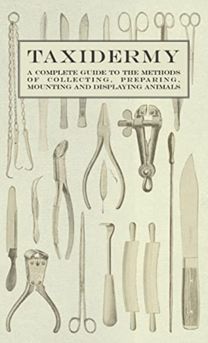 Taxidermy - a Complete Guide to the Methods of Collecting, Preparing, Mounting and Displaying Animals