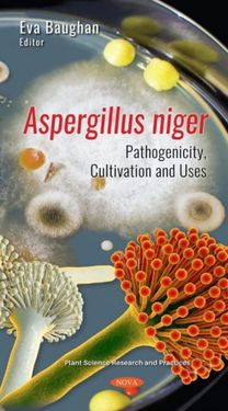 Aspergillus Niger