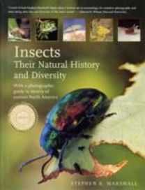 Insects: Their Natural History and Diversity