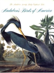 Audubon's Birds of America