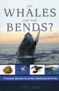 Do Whales Get the Bends Us Edition