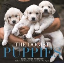 Dogist Puppies