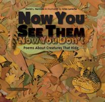 Now You See Them, Now You Don't
