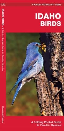 Idaho Birds