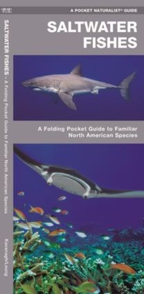 Saltwater Fishes
