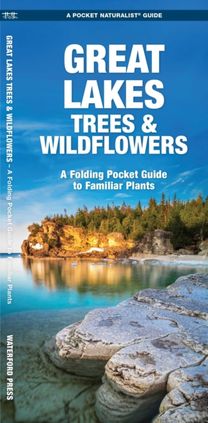 Great Lakes Trees & Wildflowers