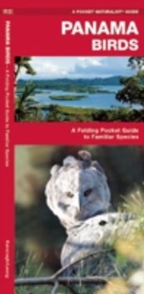 Panama Birds