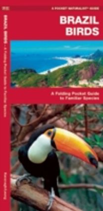 Brazil Birds