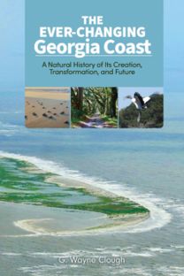 Ever-Changing Georgia Coast