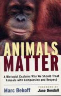 Animals Matter