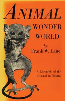 Animal Wonder World