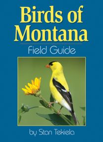 Birds of Montana Field Guide