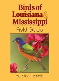 Birds of Louisiana & Mississippi Field Guide
