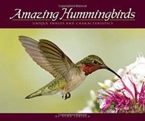 Amazing Hummingbirds
