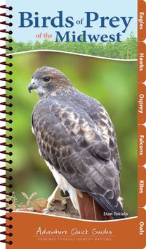 Birds of Prey of the Midwest