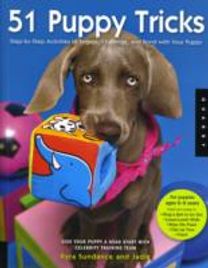 51 Puppy Tricks