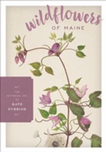 Wildflowers of Maine