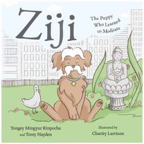 Ziji