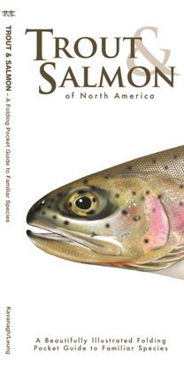 Trout & Salmon