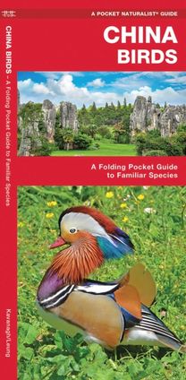 China Birds