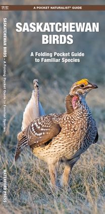 Saskatchewan Birds