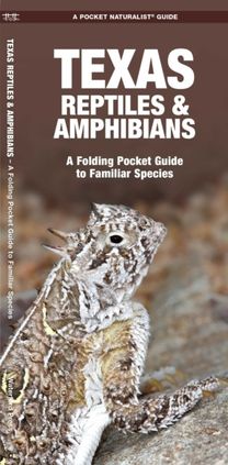 Texas Reptiles & Amphibians