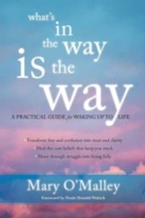 What's in the Way is the Way