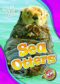 Sea Otters
