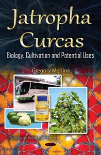 Jatropha Curcas