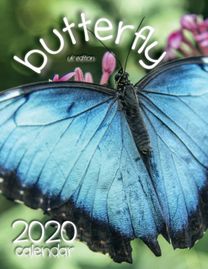 Butterfly 2020 Calendar (Uk Edition)