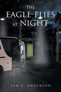 Eagle Flies at Night Eagle Flies at Night