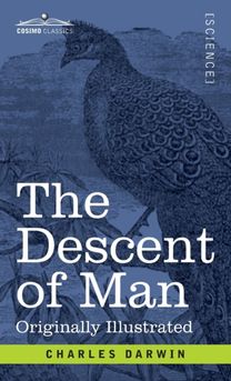 Descent of Man