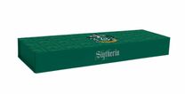 Harry Potter: Slytherin Magnetic Pencil Box Harry Potter: Slytherin Magnetic Pencil Box
