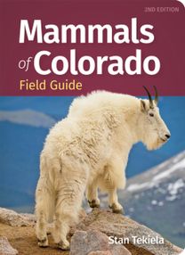 Mammals of Colorado Field Guide