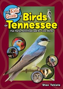 Kids' Guide to Birds of Tennessee