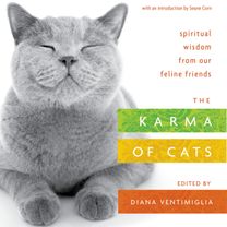 Karma of Cats