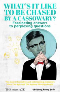 What’s it Like to be Chased by a Cassowary?