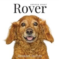 Rover
