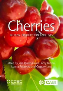 Cherries Cherries