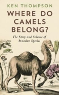 Where do Camels Belong?